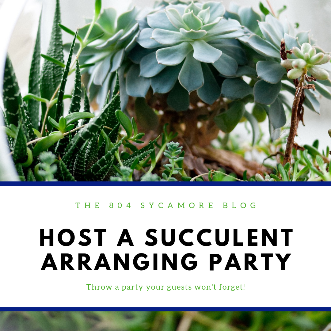 How to prepare for your succulent arranging party