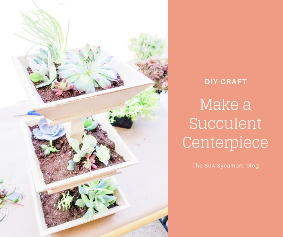 Create a succulent centerpiece