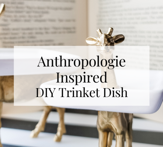 Anthropologie Inspired DIY Animal Trinket Dish
