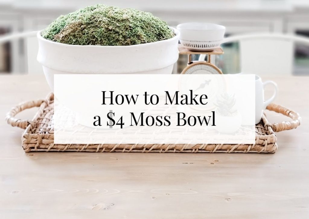 How to Make a Moss Bowl for $4