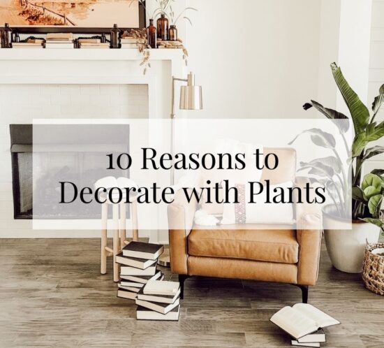 10 Reasons to Decorate with Plants