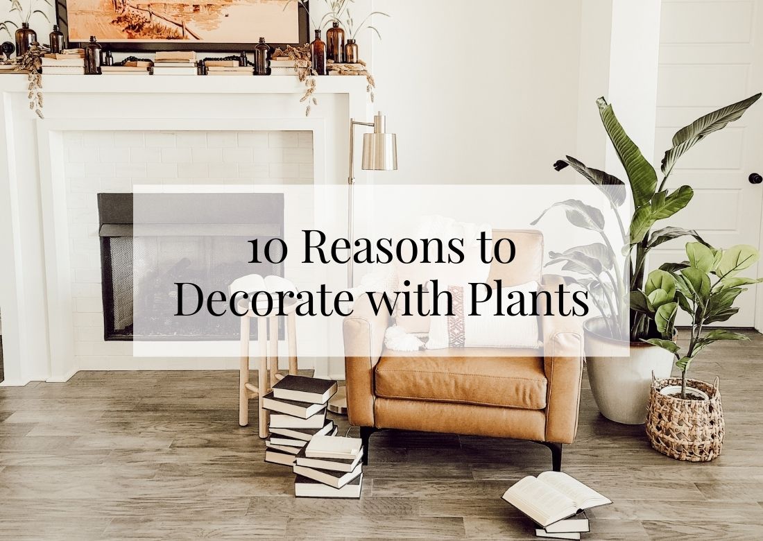 10 Reasons to Decorate with Plants
