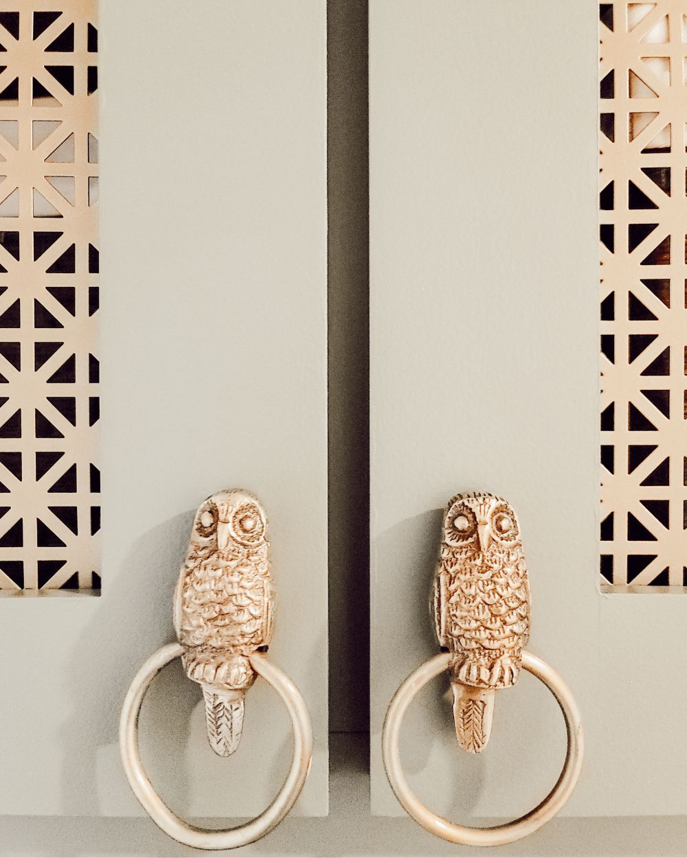 close up of owl cabinet knobs