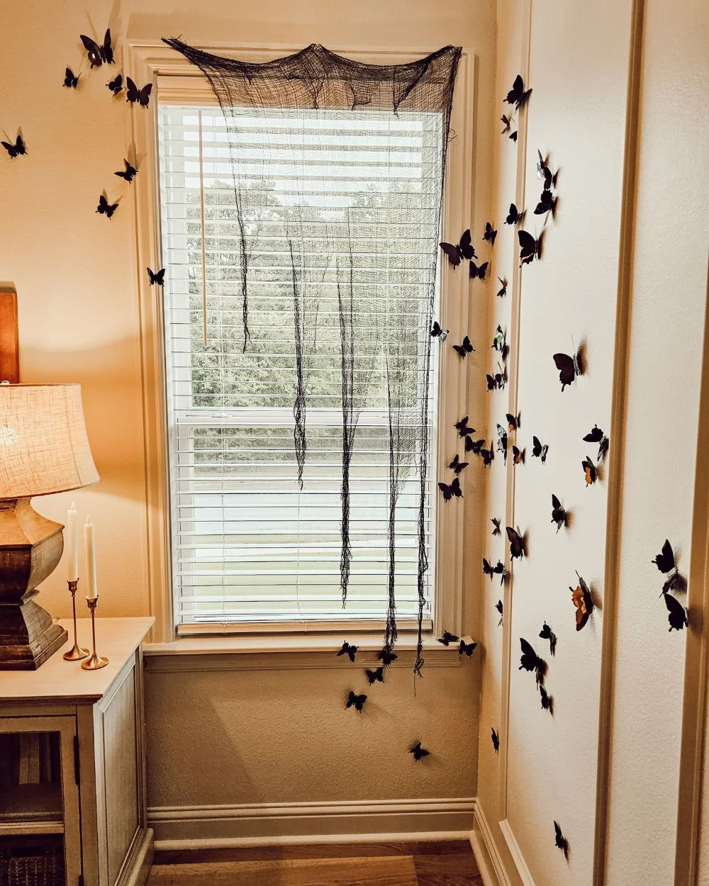 black butterflies around window and down the wall. Creepy black cloth as a makeshift curtain
