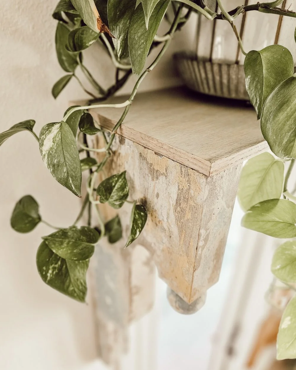 Easy DIY plant shelf made with corbels and plywood